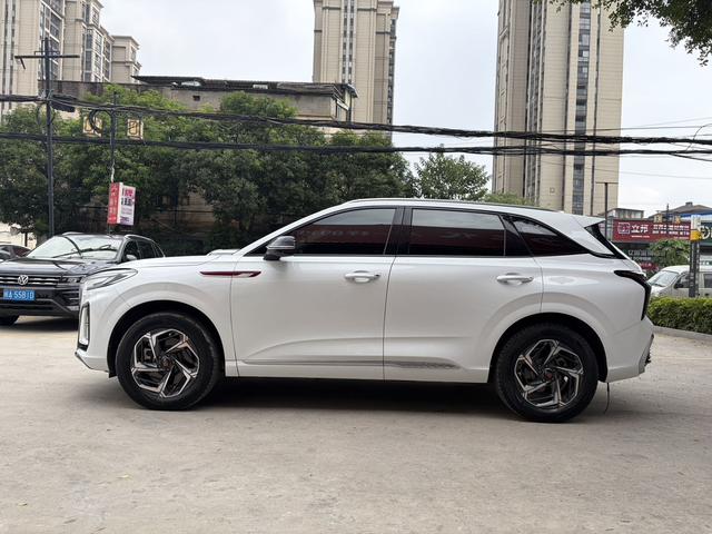 HongQi HS3 2023 immagine di auto #5