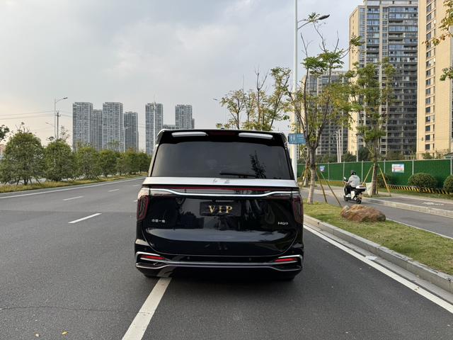 HongQi HQ9 2023 car image #5