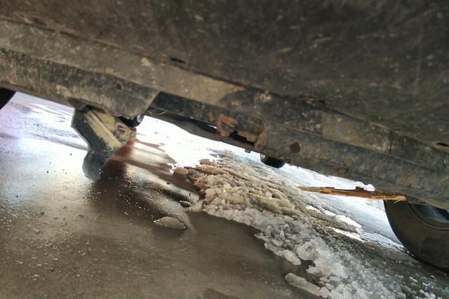 Haval H6 2022 immagine di auto #5