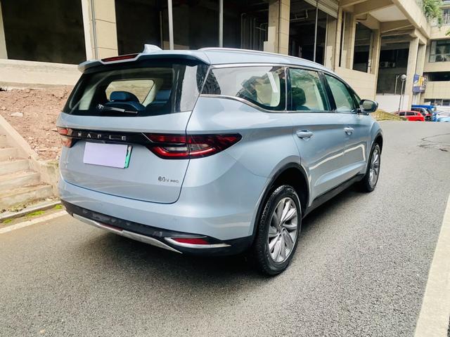 睿蓝汽车 枫叶80v PRO 2023 汽车图片 #5