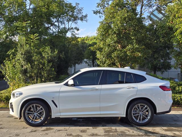 BMW X4 2019 car image #5