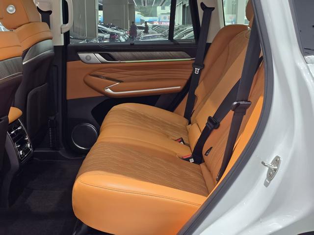 Tank 500 2024 car image #5