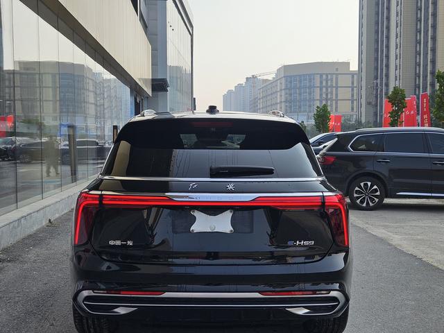 HongQi E-HS9 2022 car image #5