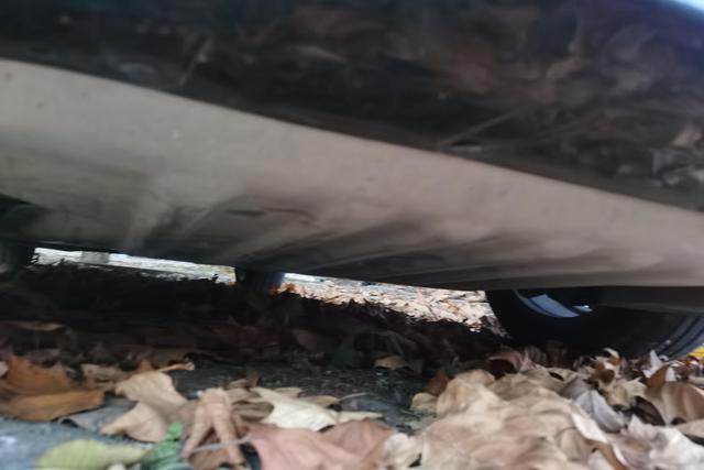 BMW 5 Series (Imported) 2019 #5 BMW 5 Series (Imported) 2019 car image #5