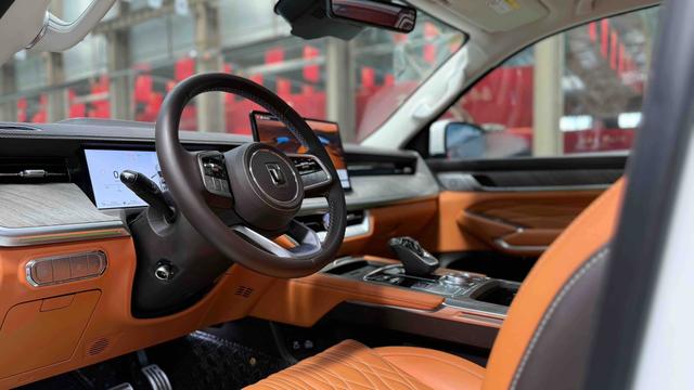 Tank 500 2024 car image #5