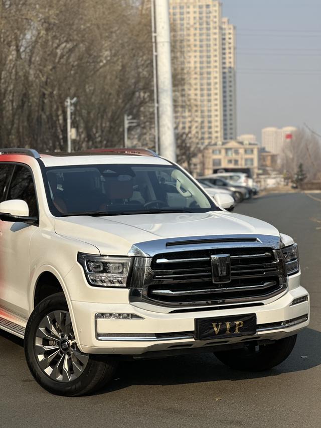 Tank 500 2024 car image #5