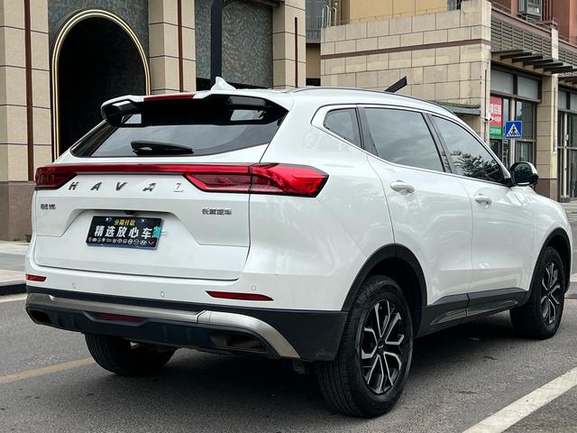 Haval H6 2023 car image #5