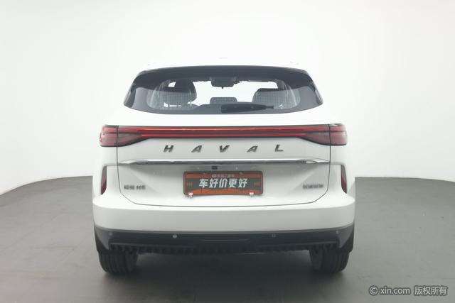 Haval H6 2021 car image #5