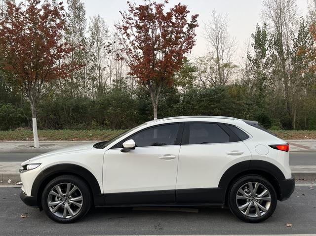 Mazda CX-30 EV 2021 image de voiture #5