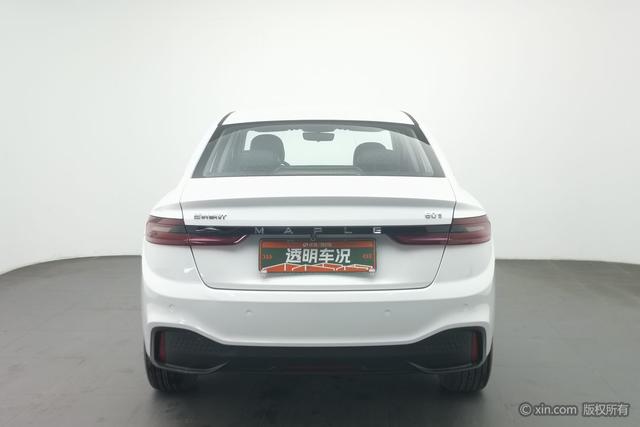 Livan Maple 60S 2023 imagen de coche #5