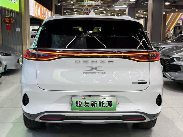 Denza X 2020 car image #5