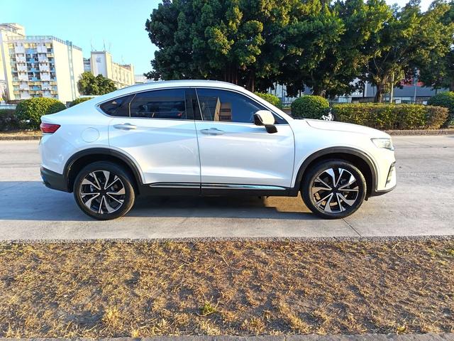 GEELY Tugella S 2021 car image #5