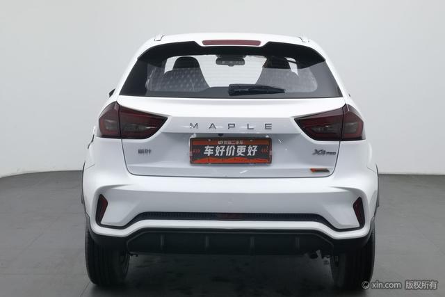 X3 PRO 2022 car image #5