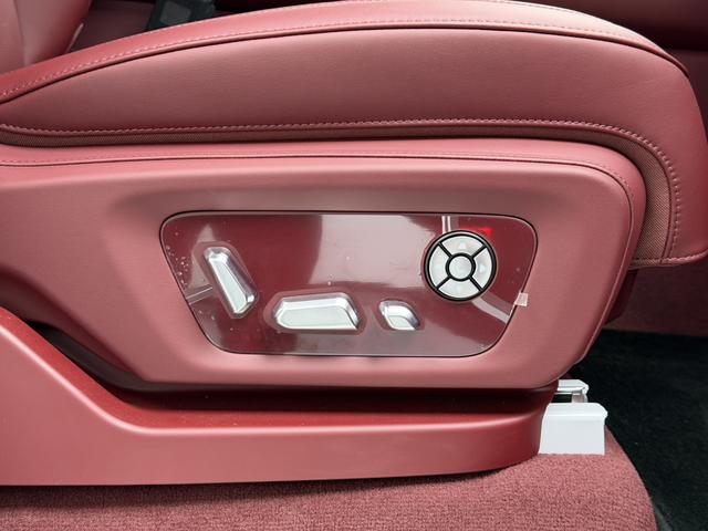 Tank 700 New Energy 2025 immagine di auto #5