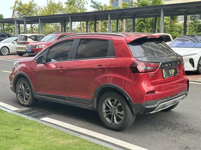 睿蓝汽车 枫叶30X 2020 汽车图片 #5