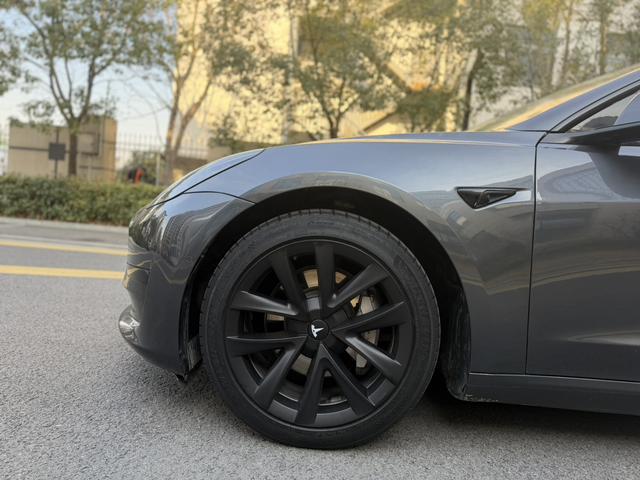 Tesla Model 3 2020 car image #5