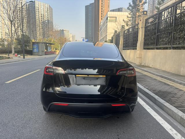 Tesla 2021 immagine di auto #5