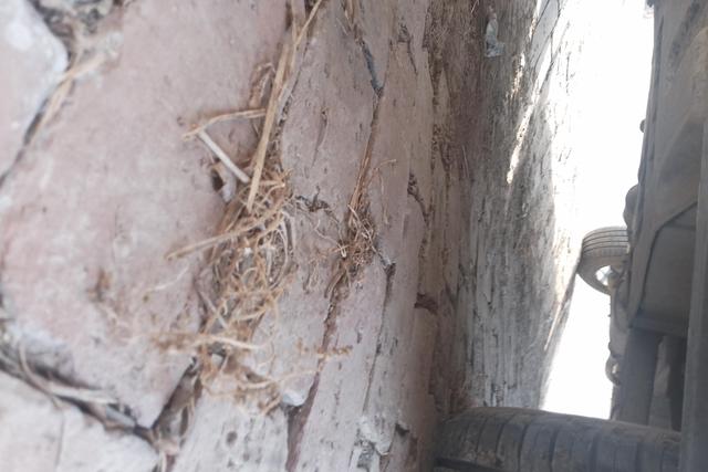 Soueast DX7 2015 car image #5