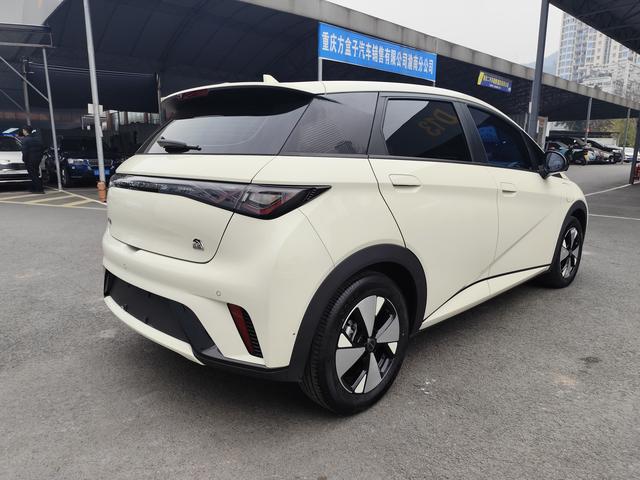 BYD Dolphin 2023 car image #5