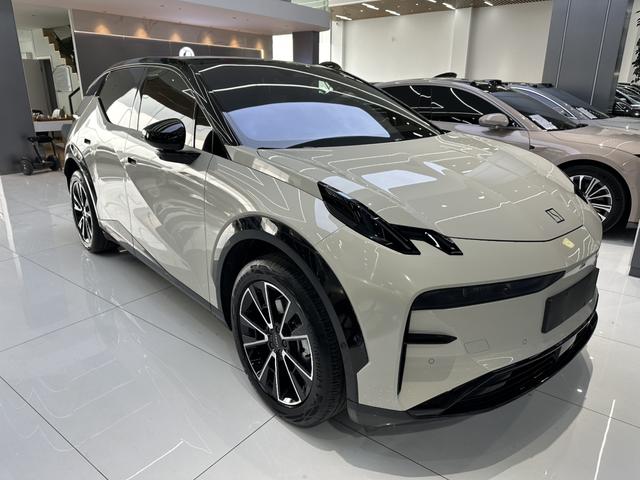 极氪 极氪X 2023 汽车图片 #5