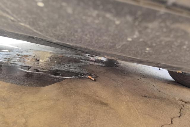 BYD Seal 06 New Energy 2024 car image #5