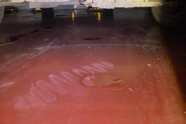 GAC Qizhi PHEV 2019 imagem de carro #5