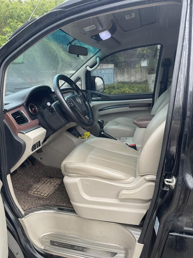 Forthing Lingzhi 2018 car image #5