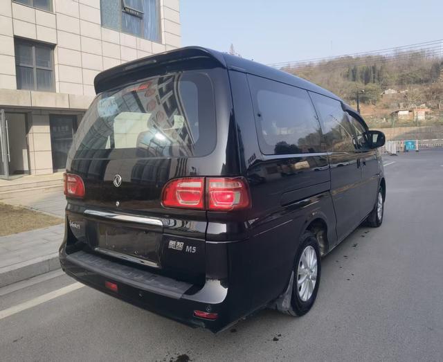 Forthing Lingzhi 2019 immagine di auto #5