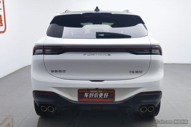 Forthing T5 EVO 2022 imagen de coche #5