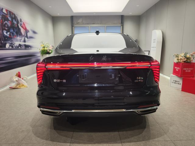 HongQi H5 2022 immagine di auto #5