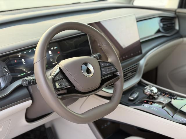 Denza D9 2023 imagem de carro #5