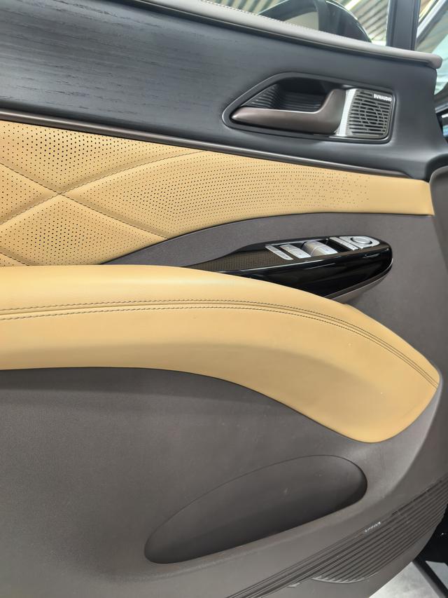 Denza D9 2023 imagen de coche #5