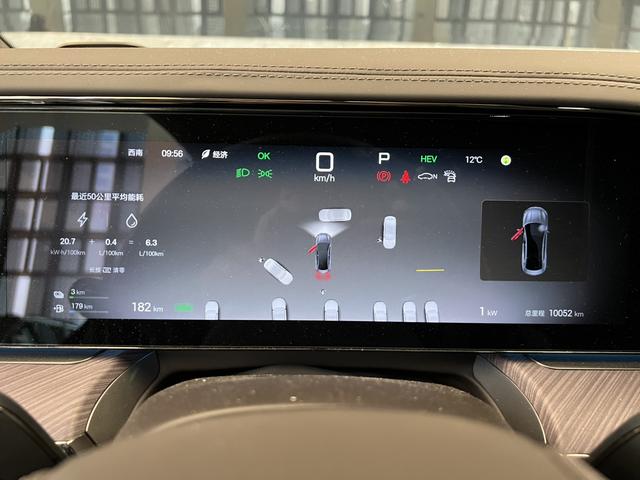 Denza 2024 immagine di auto #5