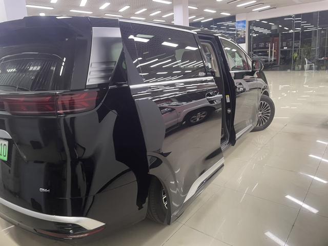 Denza D9 2025 imagem de carro #5