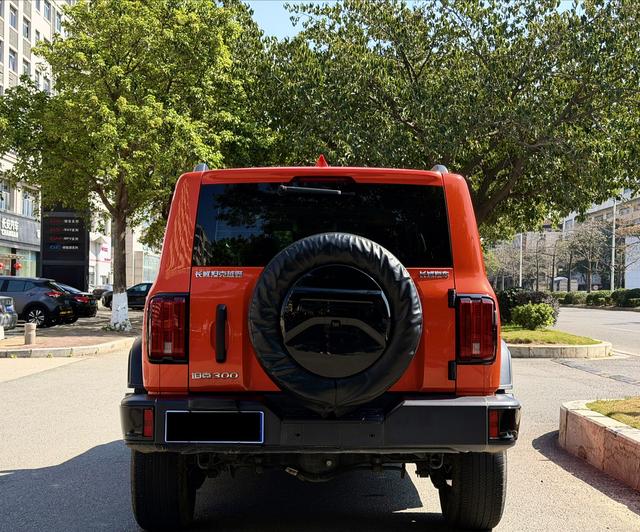 坦克 坦克300 2024 汽车图片 #5