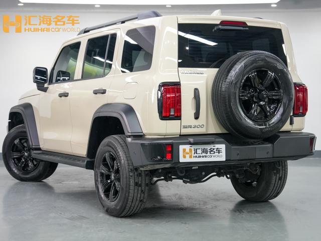 Tank 300 2025 immagine di auto #5