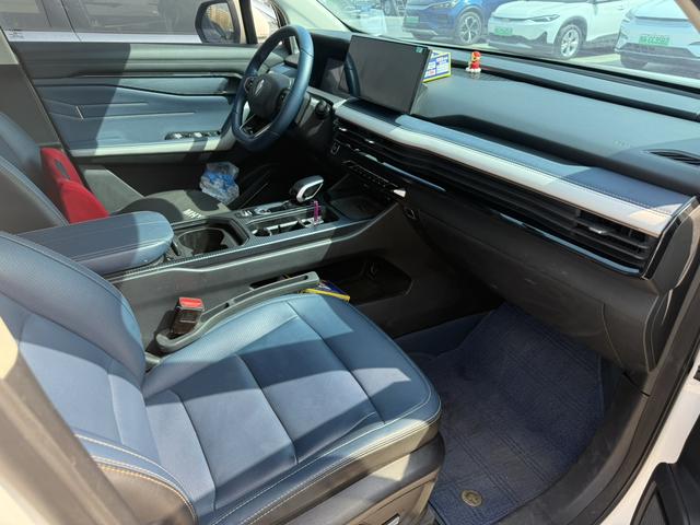 睿蓝汽车 睿蓝9 2024 汽车图片 #5