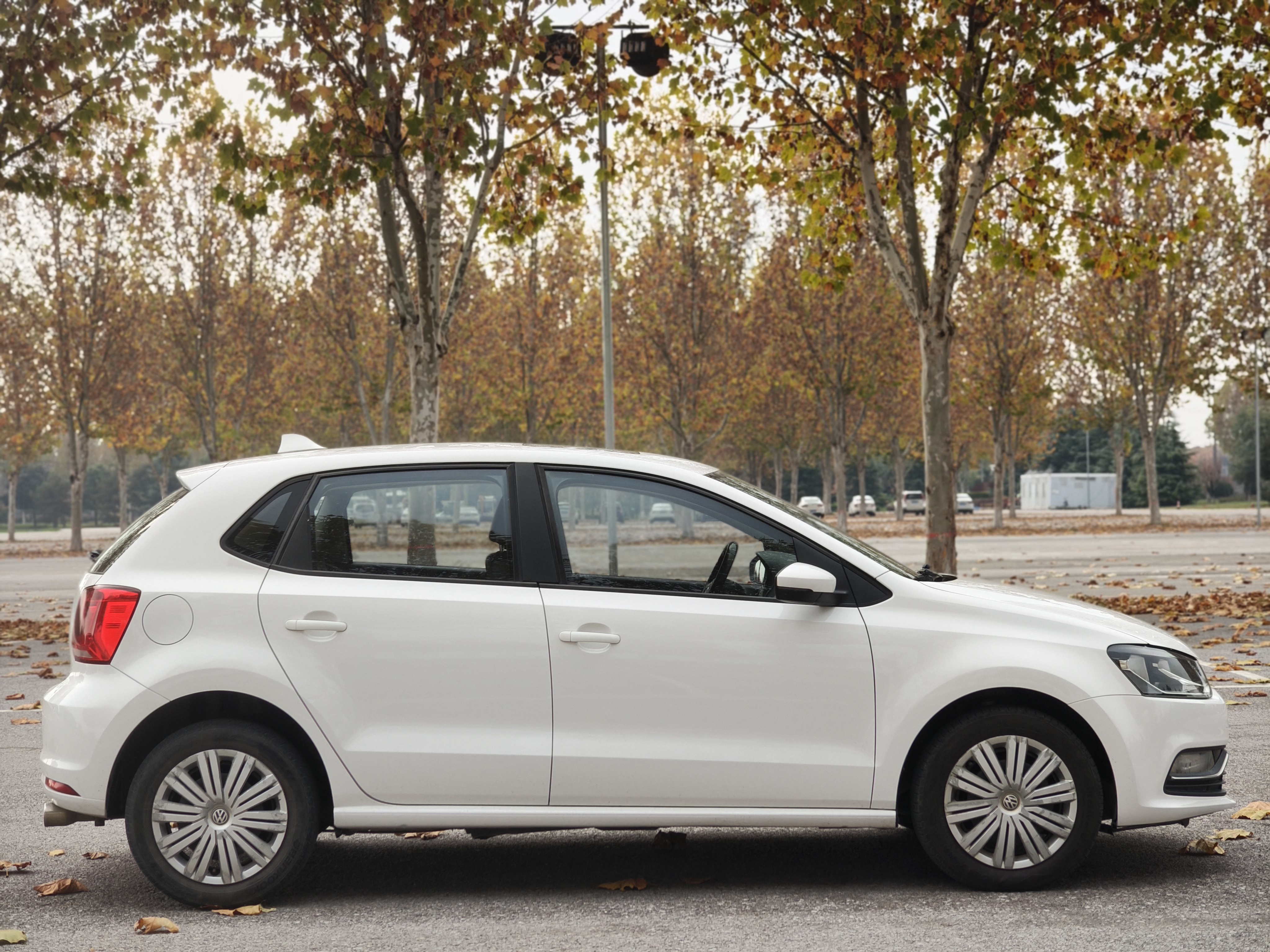 大众 Polo 2017 汽车图片 #5