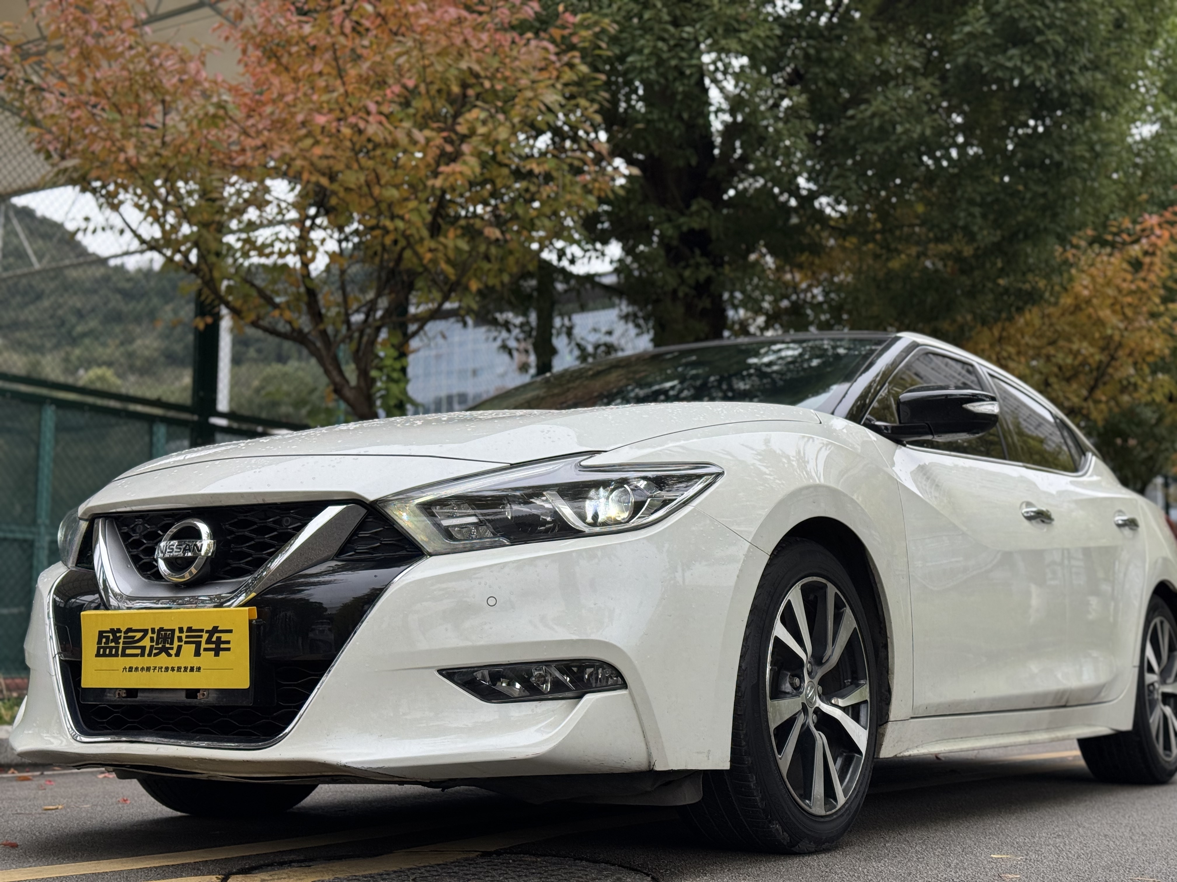 日产 西玛 2018 汽车图片 #5