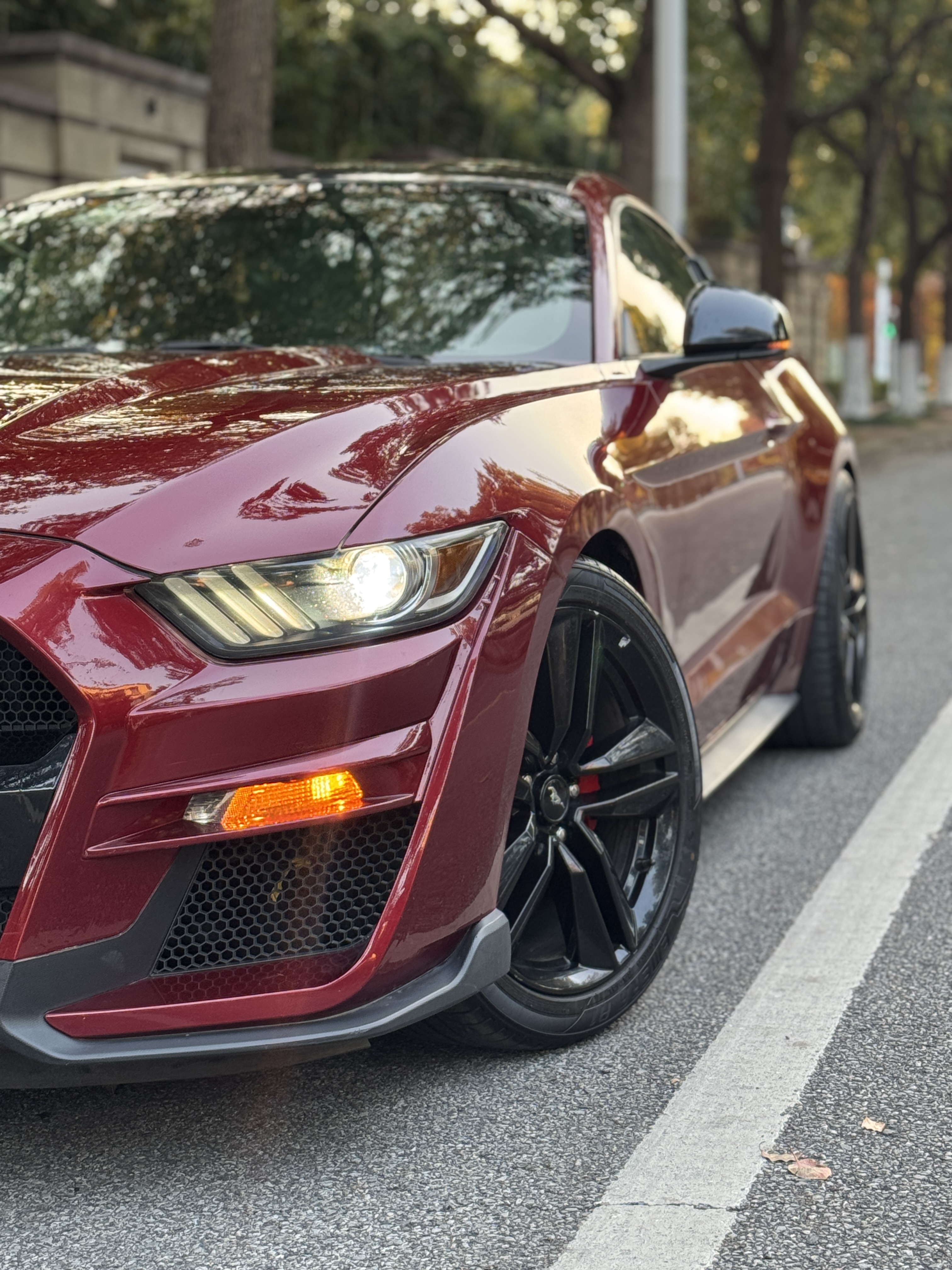 Ford Mustang 2017 car image #5