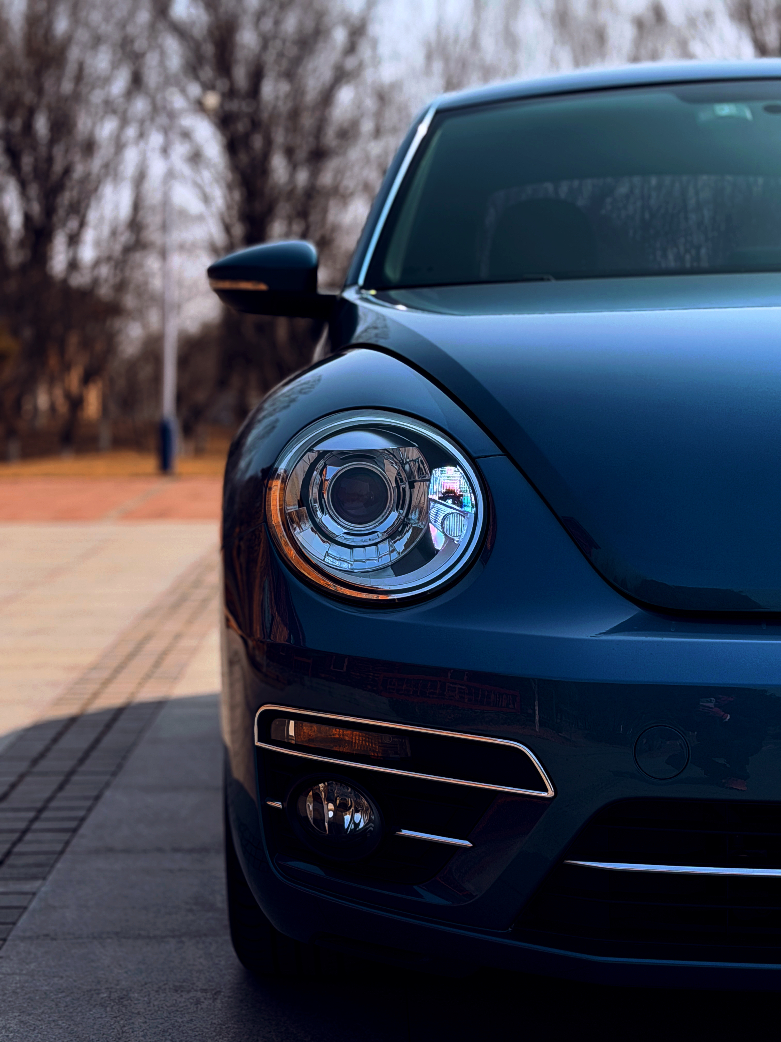 Volkswagen Beetle 2018 immagine di auto #5