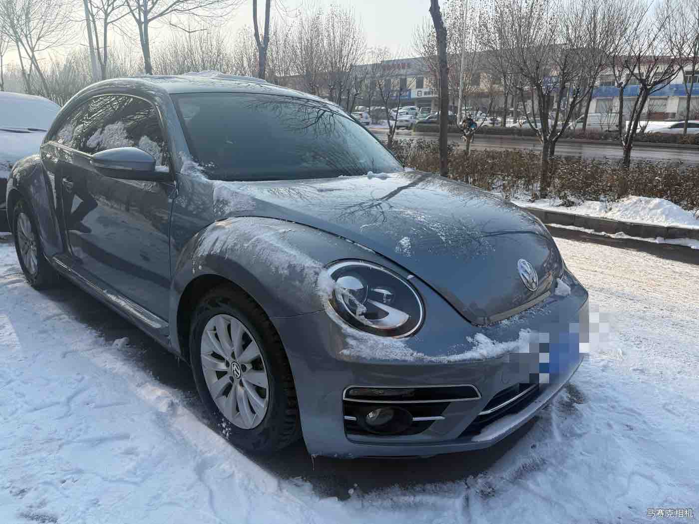 Volkswagen Beetle 2017 #5 Volkswagen Beetle 2017 car image #5