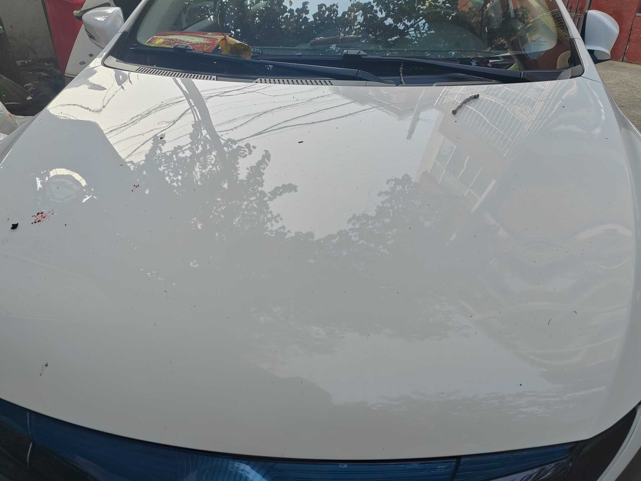 BYD Qin New Energy 2016 #5 BYD Qin New Energy 2016 car image #5