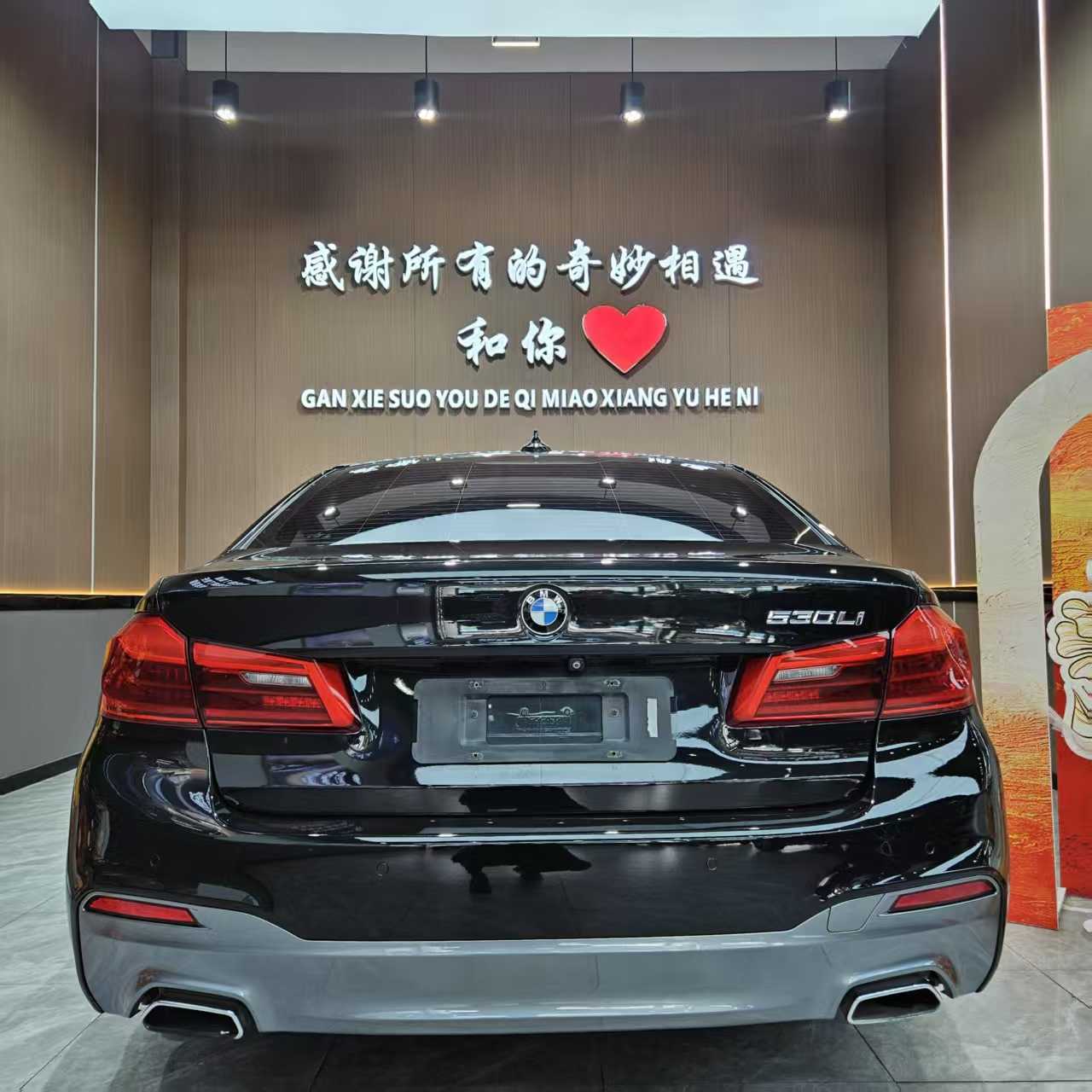 BMW 5 Series 2018 immagine di auto #5