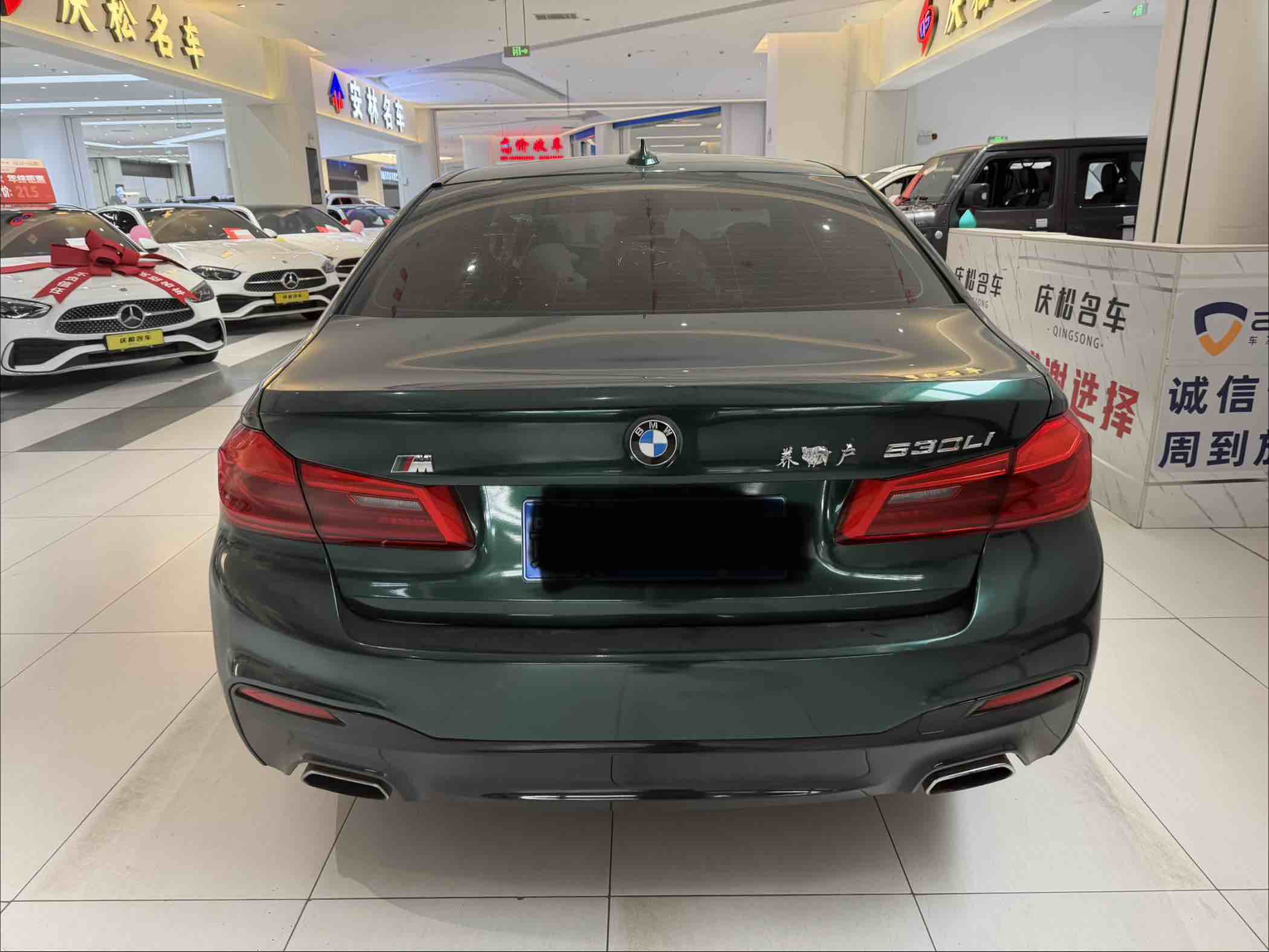 BMW 5 Series 2019 car image #5