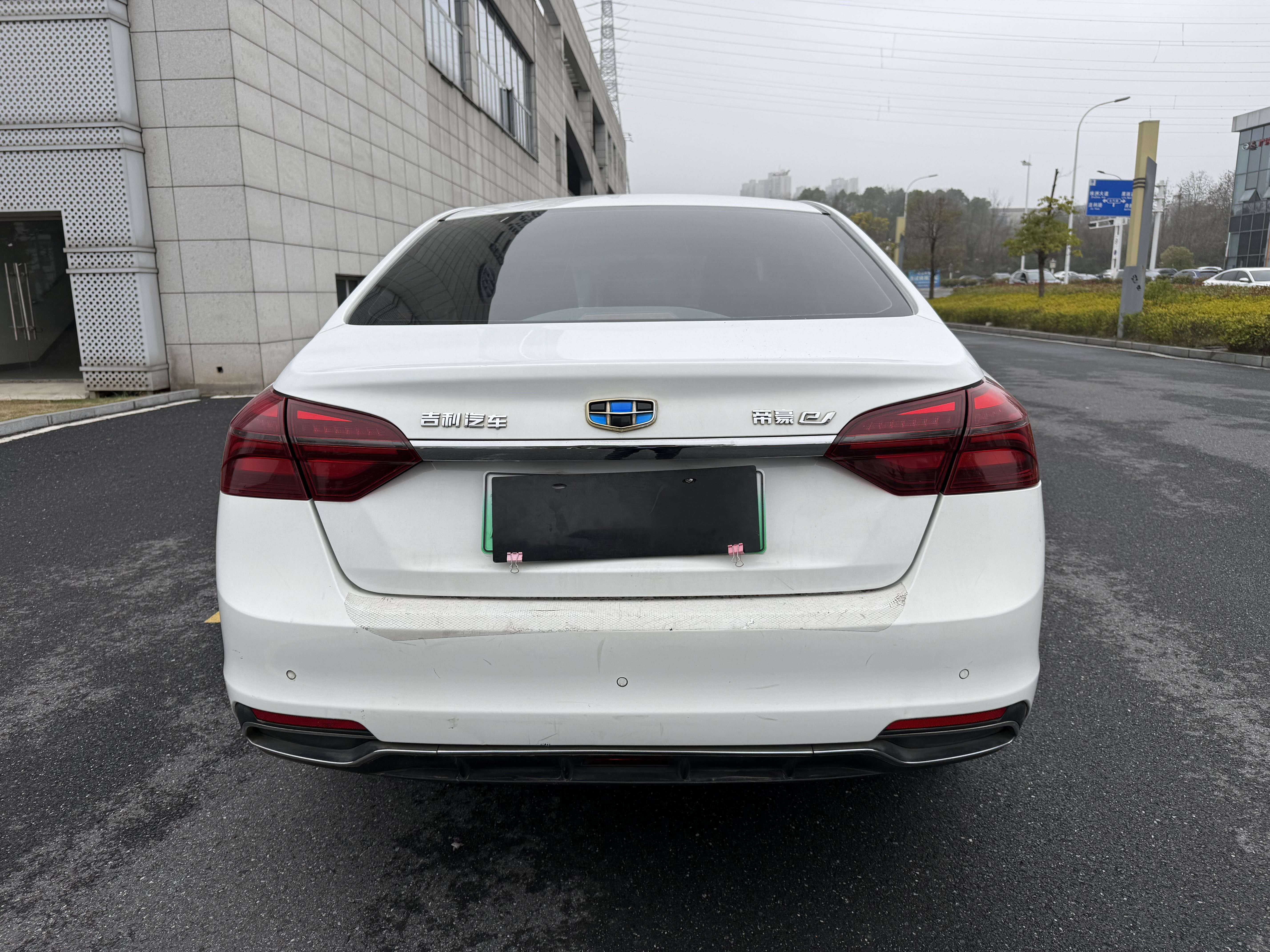 Emgrand New Energy 2019 car image #5