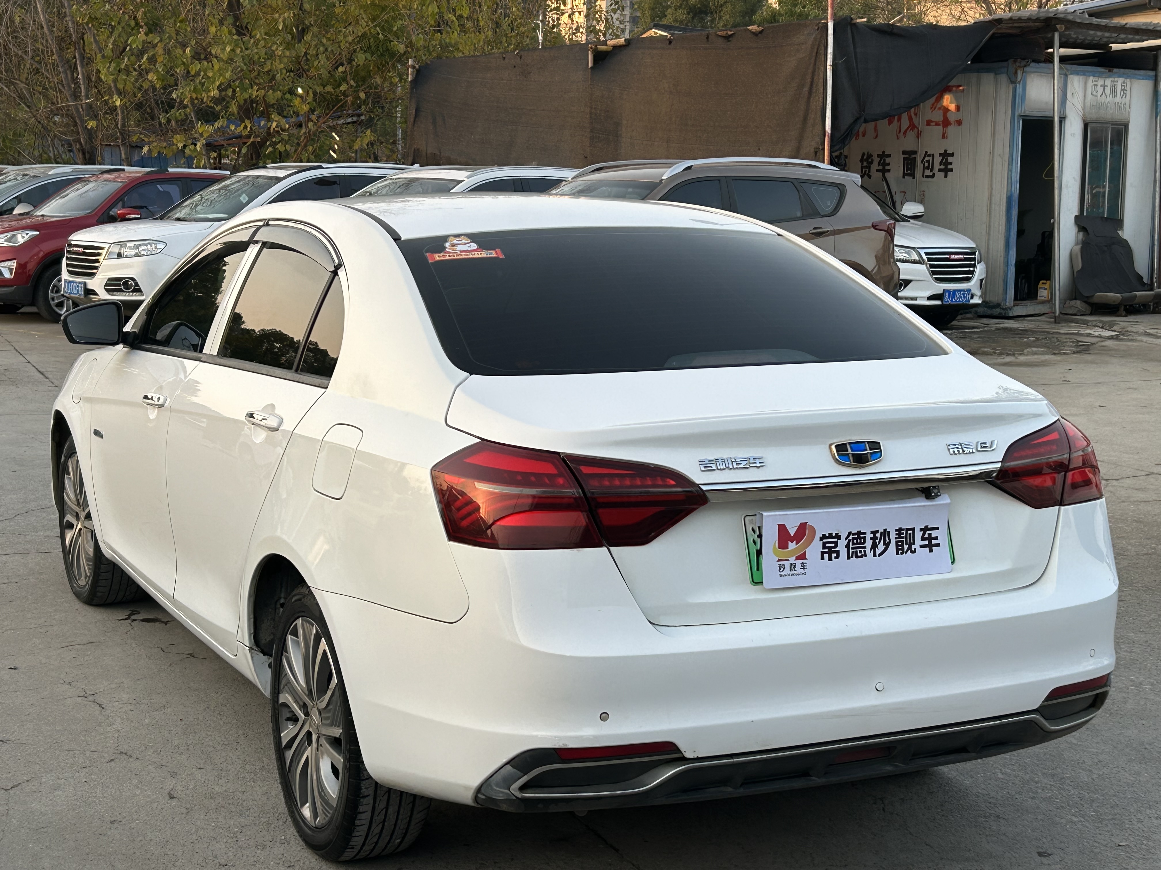GEELY Emgrand New Energy 2019 car image #5
