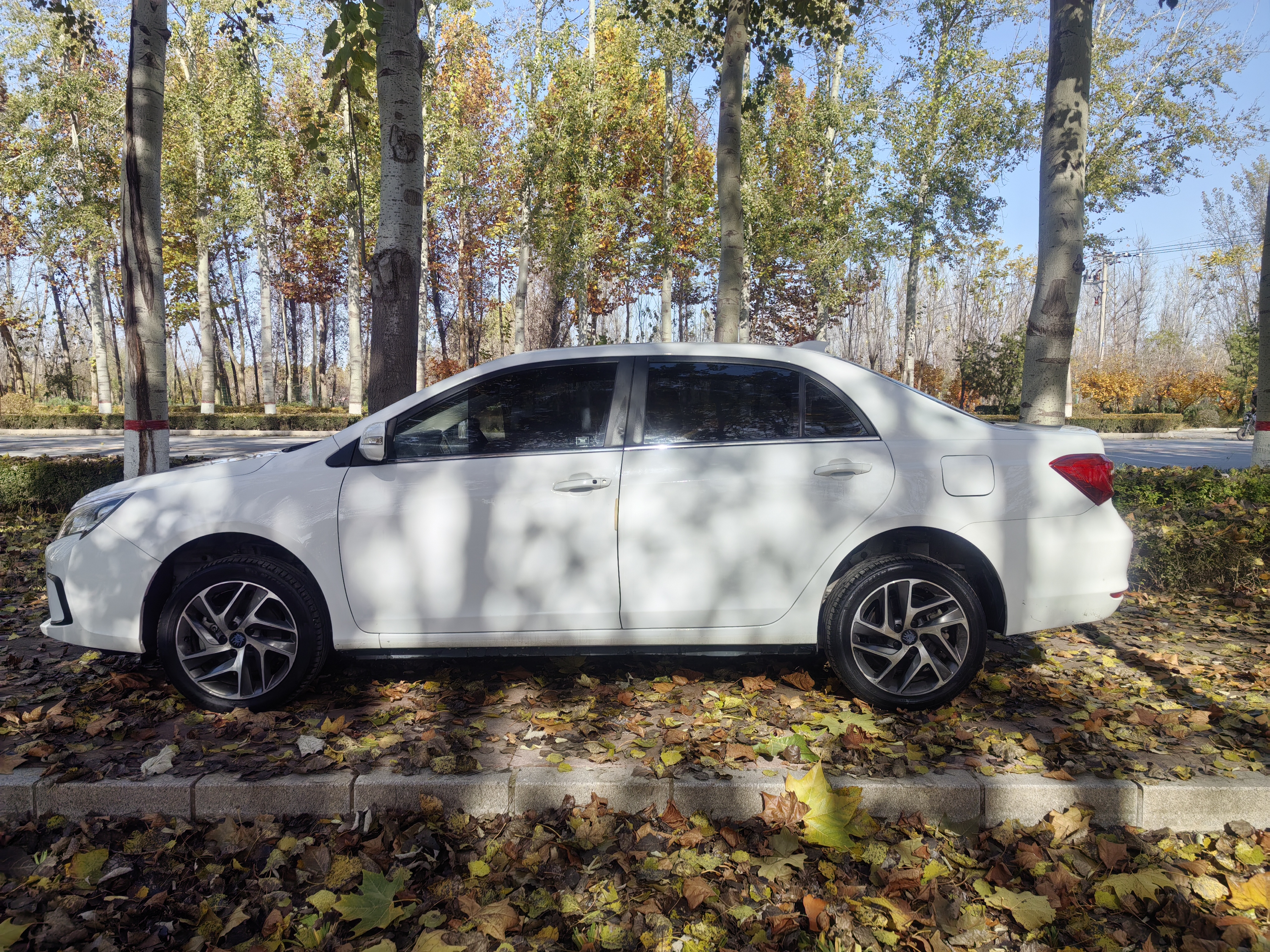 BYD Qin New Energy 2018 car image #5