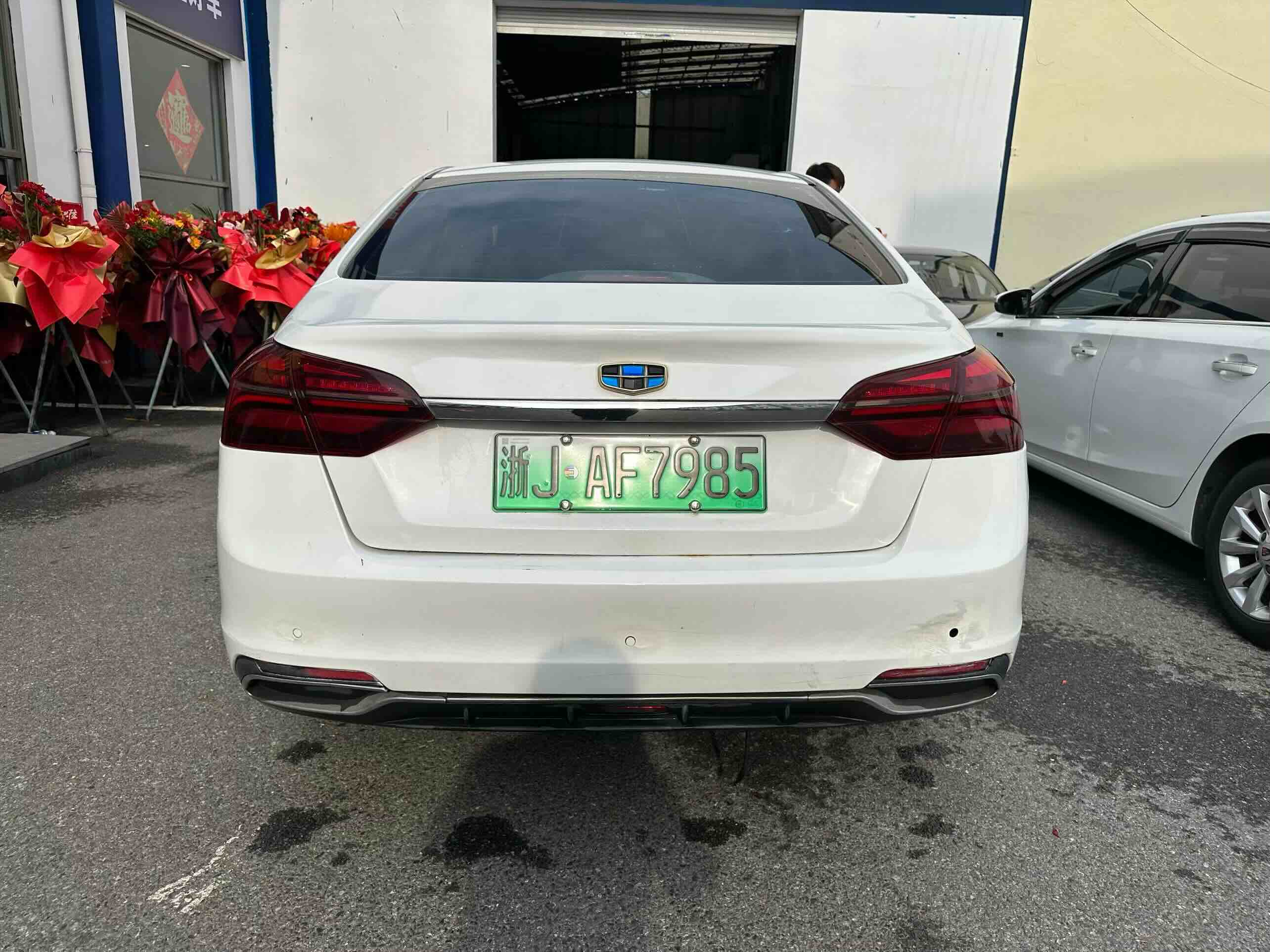 GEELY Emgrand New Energy 2018 immagine di auto #5