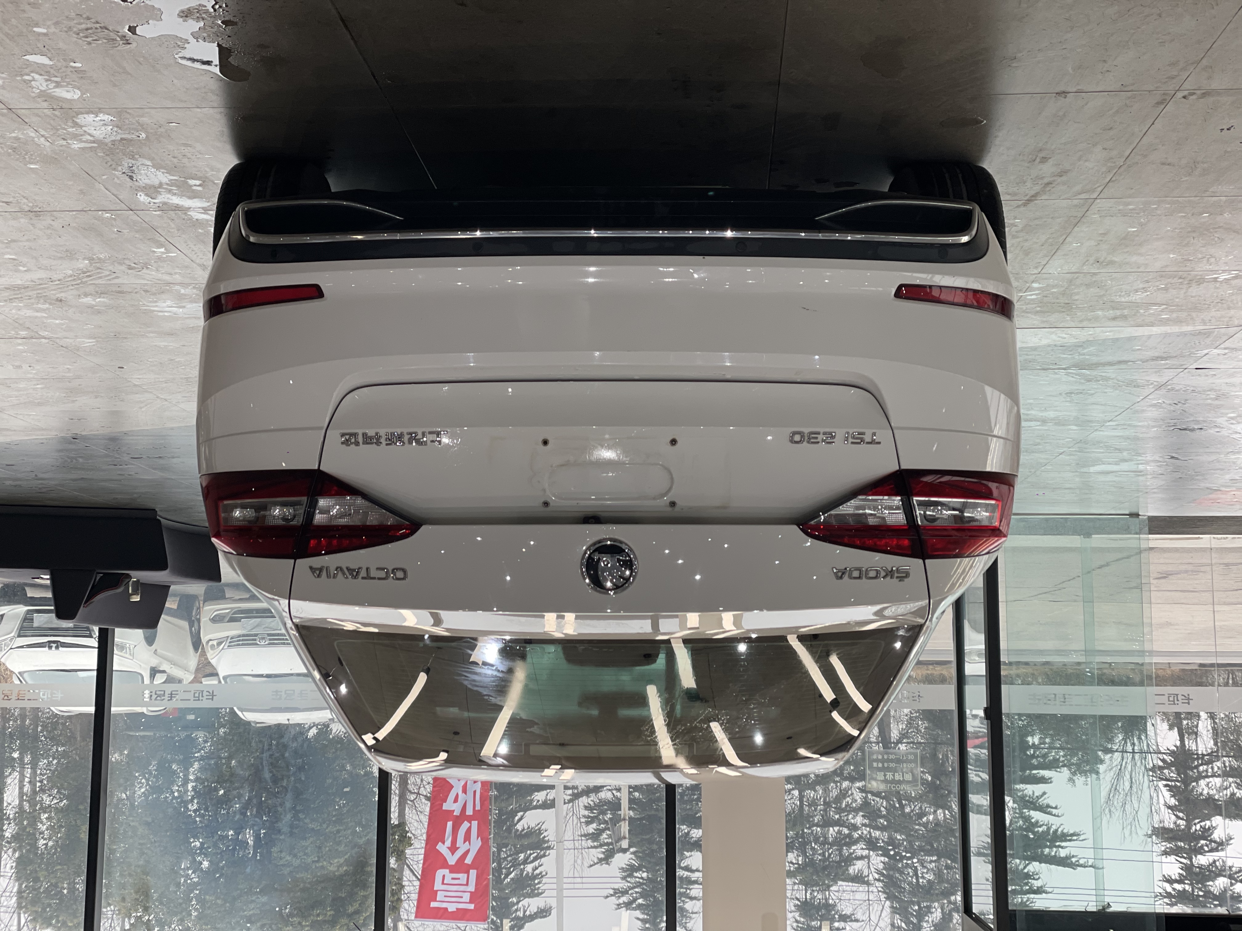 Skoda Octavia 2018 car image #5
